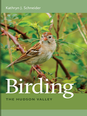 cover image of Birding the Hudson Valley